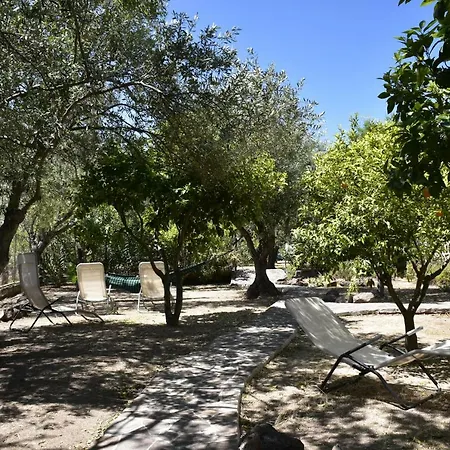 Arancio カーラ・リベロット