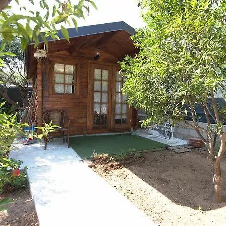 Arancio * Cala Liberotto