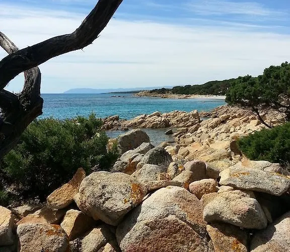 Arancio Cala Liberotto