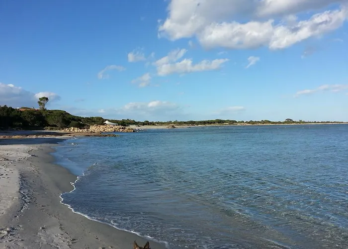 Arancio Apartamento Cala Liberotto