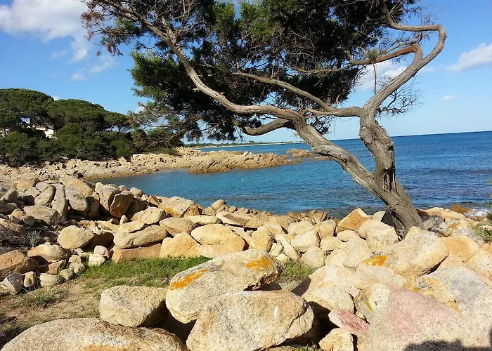 Arancio Apartamento *